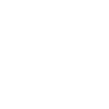 inspect-icon